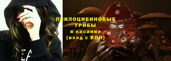 твердый Гусиноозёрск