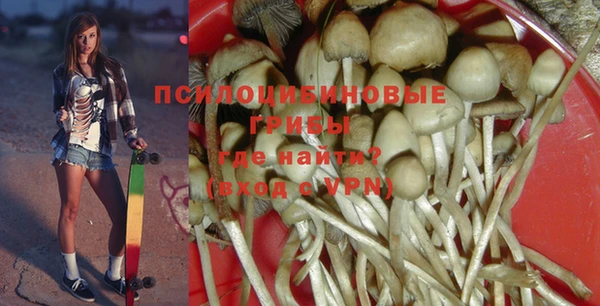 синтетический гашиш Гусь-Хрустальный