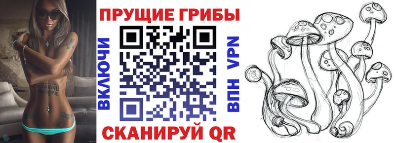 Псилоцибиновые грибы GOLDEN TEACHER  Купить закладки  Рославль 